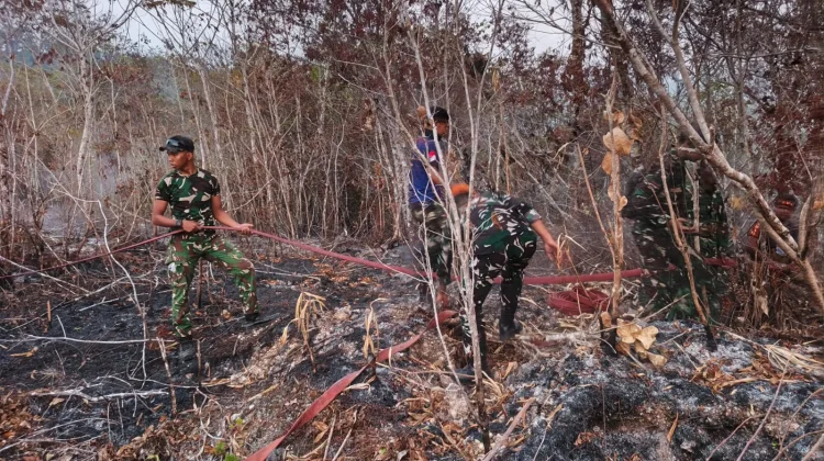 Sinergitas TNI-Polri, Pemda Biak Numfor Perkuat Kesiapsiagaan Hadapi Karhutla
