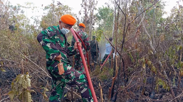 Sinergitas TNI-Polri, Pemda Biak Numfor Perkuat Kesiapsiagaan Hadapi Karhutla