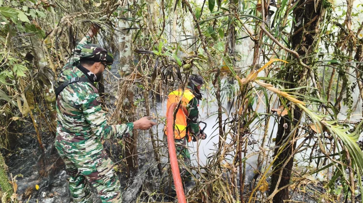 Satgas Penanggulangan Karhulta : Sepekan,Tercatat Sebanyak 478 Titik Api