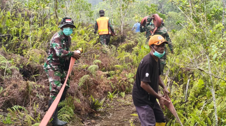Satgas Penanggulangan Karhulta : Sepekan,Tercatat Sebanyak 478 Titik Api