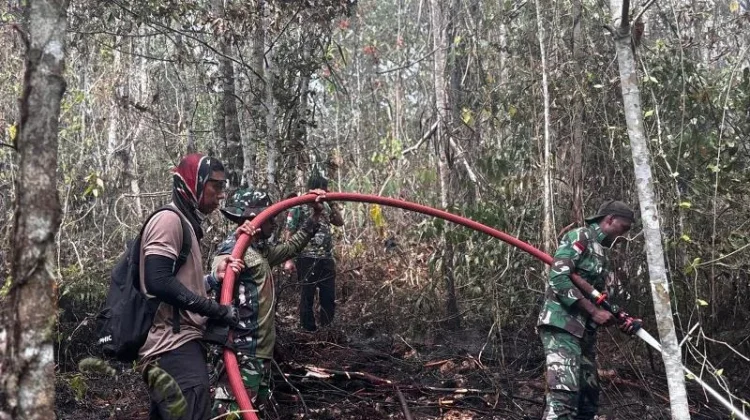 Satgas Penanggulangan Karhulta : Sepekan,Tercatat Sebanyak 478 Titik Api