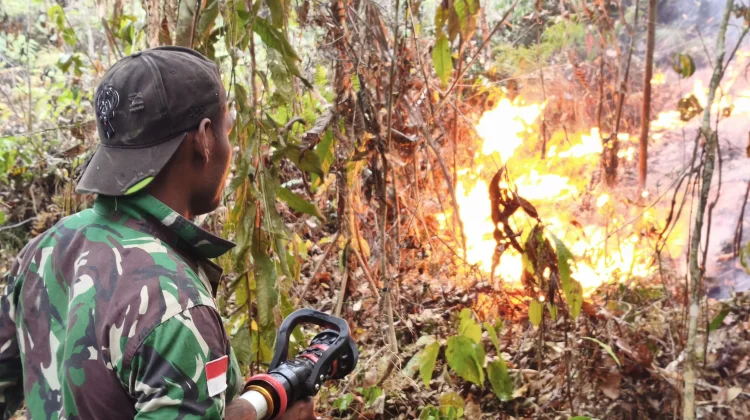 Satgas Penanggulangan Karhulta : Sepekan,Tercatat Sebanyak 478 Titik Api