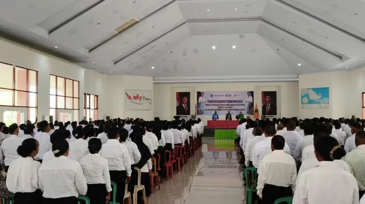 BPKAD Supiori: Keuangan Daerah Mampu Gaji 349 P3K
