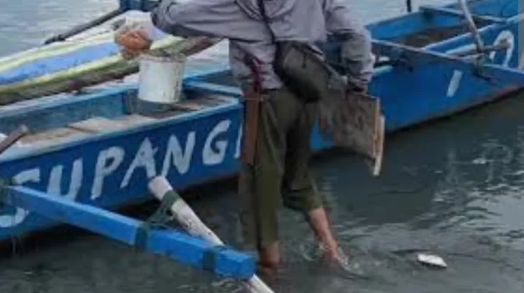 Event Mancing Nasional di Supiori Hadirkan Youtuber Terkenal