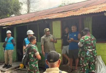 Kolaborasi PLN - Kodam XVII/Cenderawasih Wujudkan Listrik Aman
