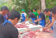 Umat Muslim di Pulau Numfor Biak, Kurban 2 Ekor Sapi