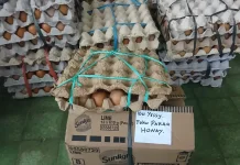 Telur Lokal Biak Disalurkan untuk Bantuan Gizi Para Korban Ledakan Dugaan Bom