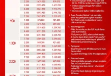 HUT RI Ke-81, PLN Hadirkan Promo "Merdeka Daya" Diskon Tambah Daya 50 Persen