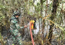 Satgas Penanggulangan Karhulta : Sepekan,Tercatat Sebanyak 478 Titik Api