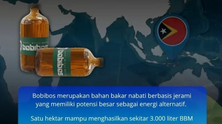 Energi Hijau Bukan Lagi Alternatif, Tapi Keharusan bagi Indonesia