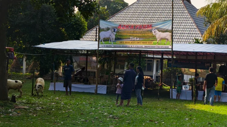 Pedagang Harap Penjualan Meningkat di Bursa Hewan Kurban Bogor