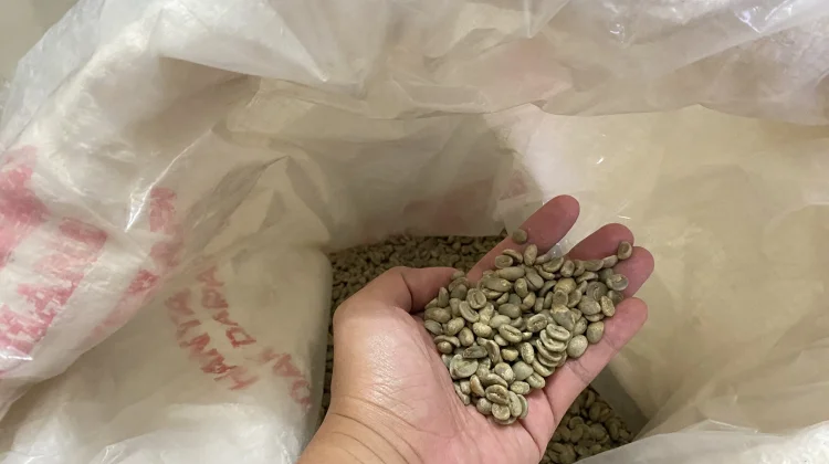 Melihat Proses Sangrai Biji Kopi Home Roastery sebelum Menjadi Seduhan Nikmat