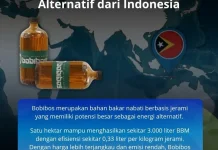 Energi Hijau Bukan Lagi Alternatif, Tapi Keharusan bagi Indonesia
