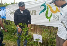 Gerakan Tanam Pohon Warnai Festival Tangguh Bencana di Bogor Utara