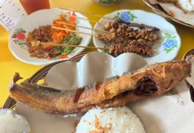 Lapar Tengah Malam? Ada Ayam dan Kari Pedas 24 Jam di Bogor