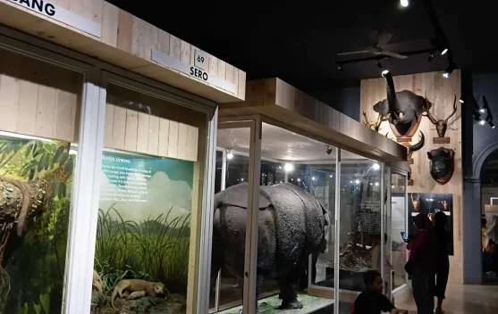Edukasi Satwa di Museum Zoologi Bogor Jadi Pilihan Liburan Keluarga