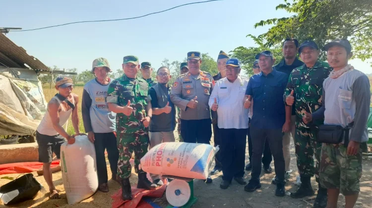 Serapan Gabah Petani di Indramayu Menunjukan Gerak Positif