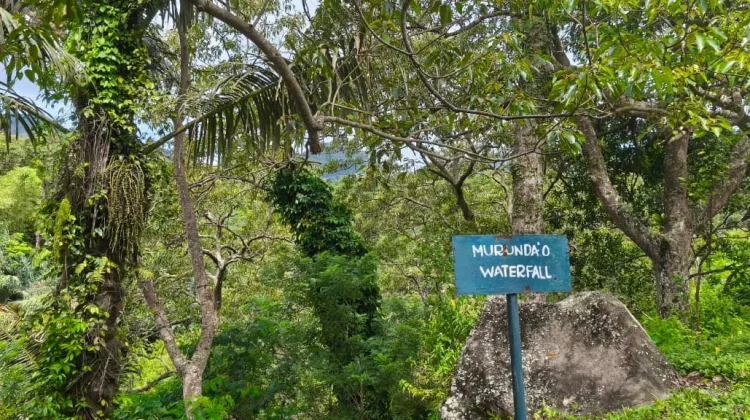 Menikmati Keindahan Air Terjun Murundao di Ende