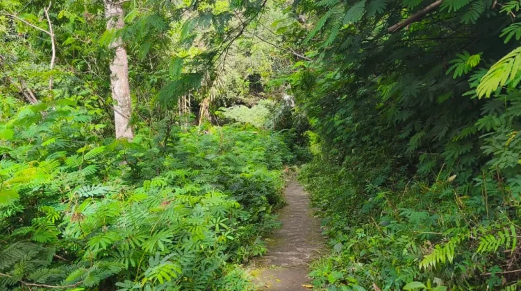 Menikmati Keindahan Air Terjun Murundao di Ende