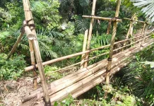 Jembatan Bambu Masyarakat Adat Wolowea–Nagekeo