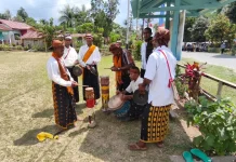 Go Laba, Alat Musik Tradisional dari Nagekeo