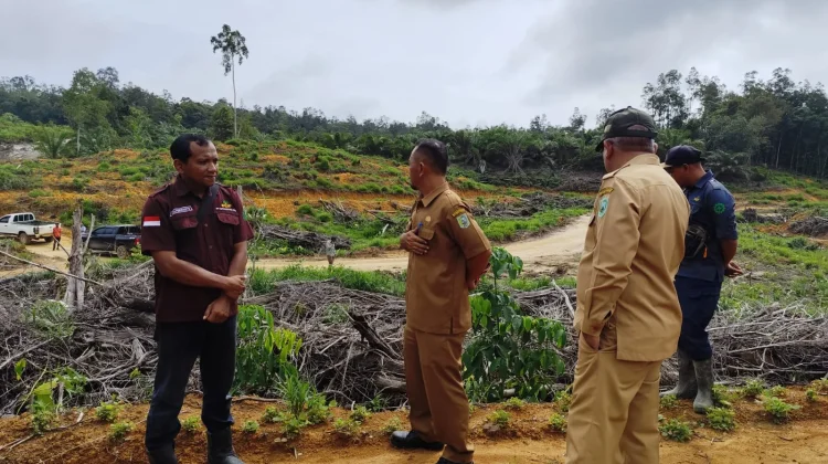 Sekda Sanggau Pantau Penanaman Kembali Pohon PT CUT