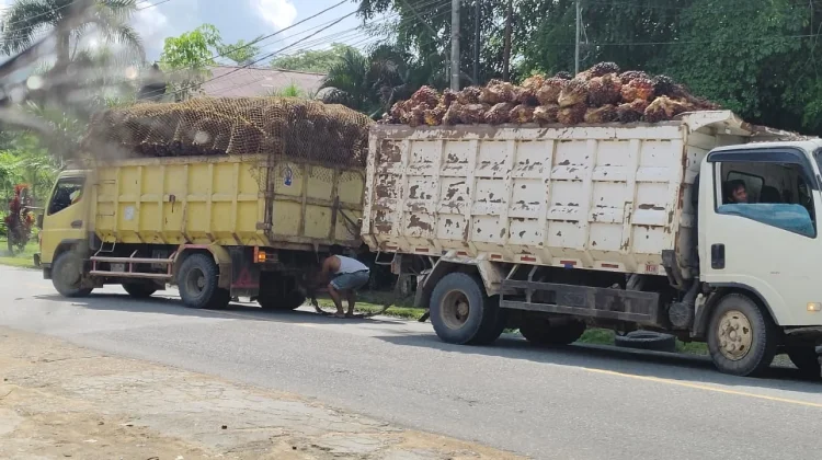 Truk Sawit Ringsek usai Kecelakaan di Sanggau
