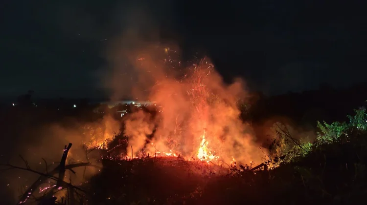 Kebakaran Hanguskan Lahan Kering di Sanggau