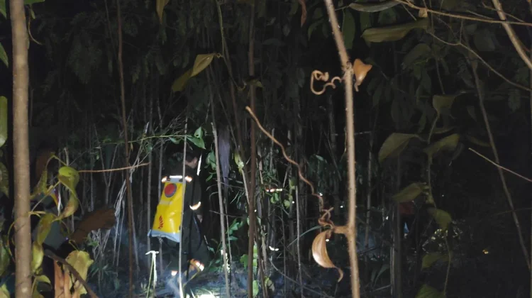 Kebakaran Hanguskan Lahan Kering di Sanggau