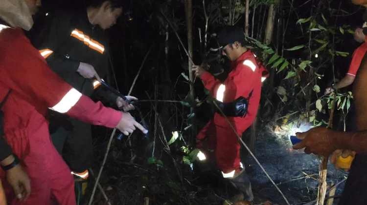 Kebakaran Hanguskan Lahan Kering di Sanggau