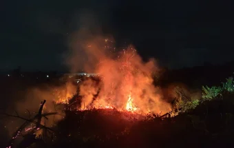 Kebakaran Hanguskan Lahan Kering di Sanggau