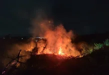 Kebakaran Hanguskan Lahan Kering di Sanggau