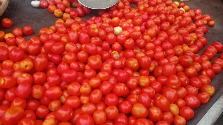 Harga Komoditas di Pasar Tradisional