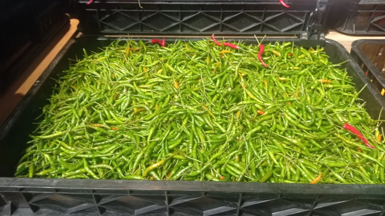 Harga Komoditas di Pasar Tradisional