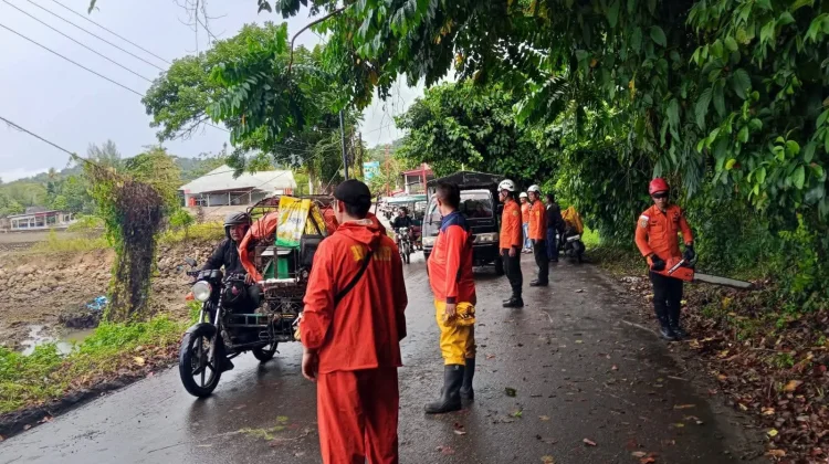 TRC BPBD Kota Gunungsitoli Evakuasi Pohon Tumbang di Kawasan Laowomaru
