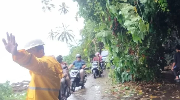 TRC BPBD Kota Gunungsitoli Evakuasi Pohon Tumbang di Kawasan Laowomaru