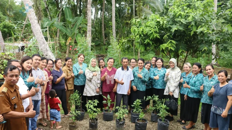 Staf Ahli PKK Sumut Tiba di Gunungsitoli, Monitoring Desa Binaan