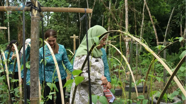 Staf Ahli PKK Sumut Tiba di Gunungsitoli, Monitoring Desa Binaan