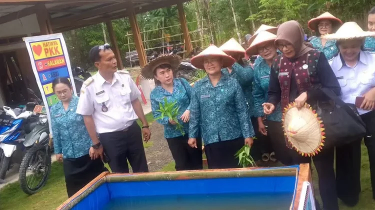 TP PKK Sumut Monitoring Program Aku Hatinya PKK di Desa Dahana Tuagala'oyo