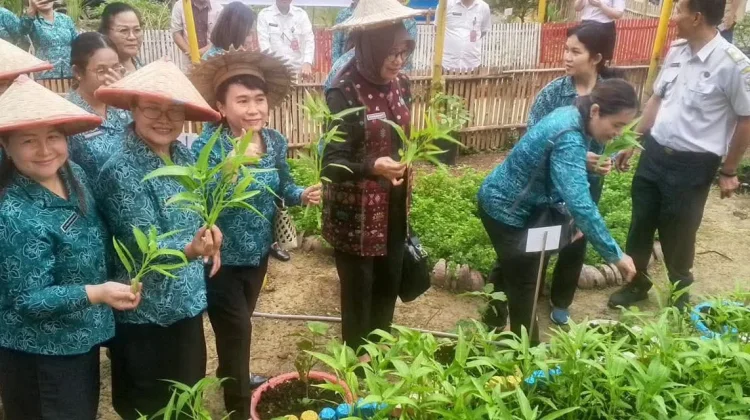 TP PKK Sumut Monitoring Program Aku Hatinya PKK di Desa Dahana Tuagala'oyo