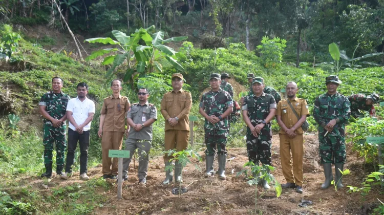 Danrem 023/KS: Gerakan Tanam 1.000 Pohon Pulihkan Kawasan Terdampak Longsor