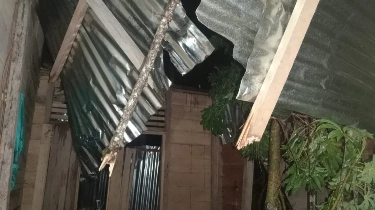 Cuaca Buruk, Pohon Timpa Rumah Warga di Desa Bawadesolo, Kecamatan Gunungsitoli