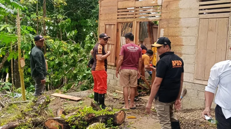 Cuaca Buruk, Pohon Timpa Rumah Warga di Desa Bawadesolo, Kecamatan Gunungsitoli