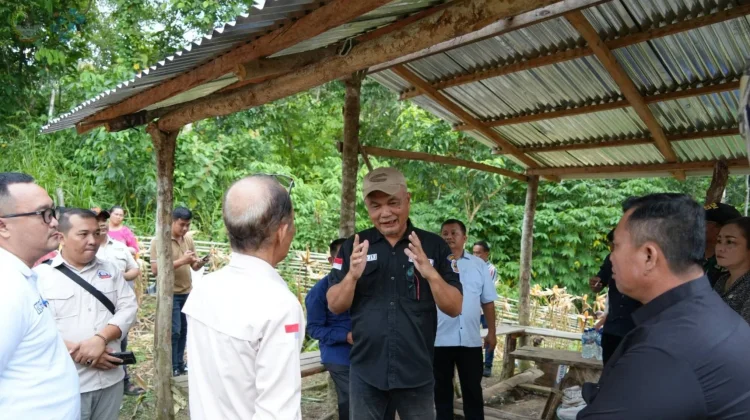 Wali Kota Gunungsitoli Apresiasi Keberhasilan Panen Jagung BUMDes Sowua