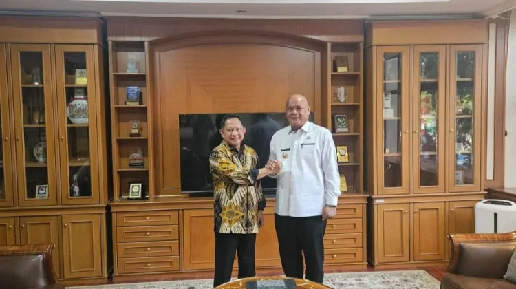 Bupati Nias Utara Bertemu Mendagri, Bahas Kondisi Pemerintahan dan Fiskal Daerah