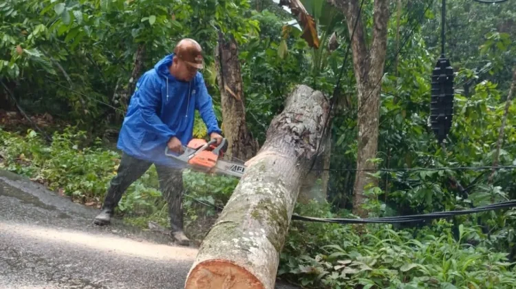 Penanganan Pohon Tumbang di Desa Iraonogeba dan Desa Fodo