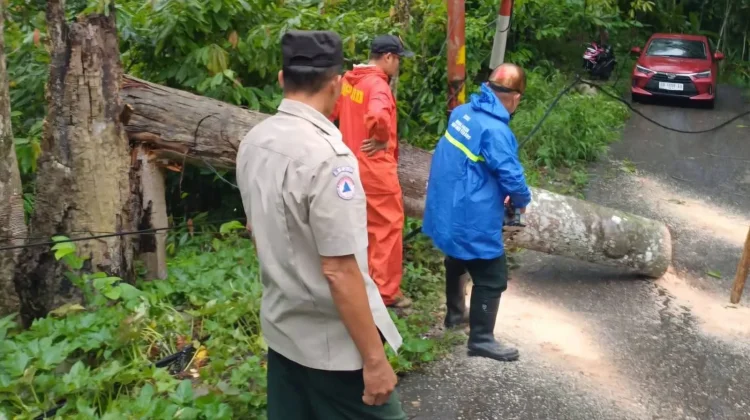Penanganan Pohon Tumbang di Desa Iraonogeba dan Desa Fodo