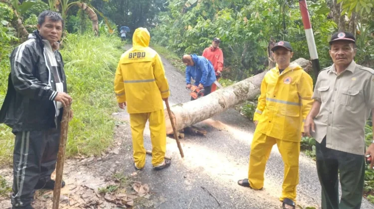 Penanganan Pohon Tumbang di Desa Iraonogeba dan Desa Fodo