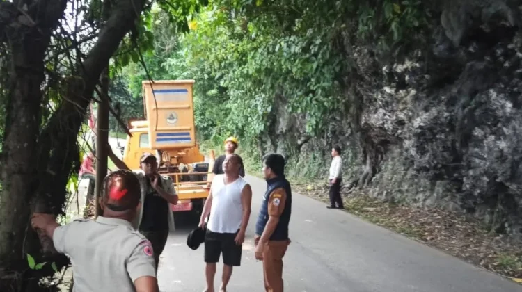 Penanganan Pohon Tumbang di Desa Iraonogeba dan Desa Fodo