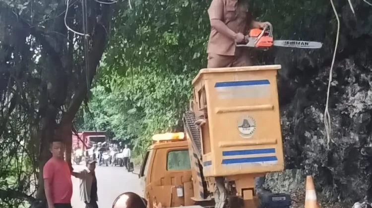 Penanganan Pohon Tumbang di Desa Iraonogeba dan Desa Fodo
